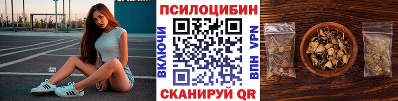 Купить закладки  Сельцо  Галлюциногенные грибы мицелий 